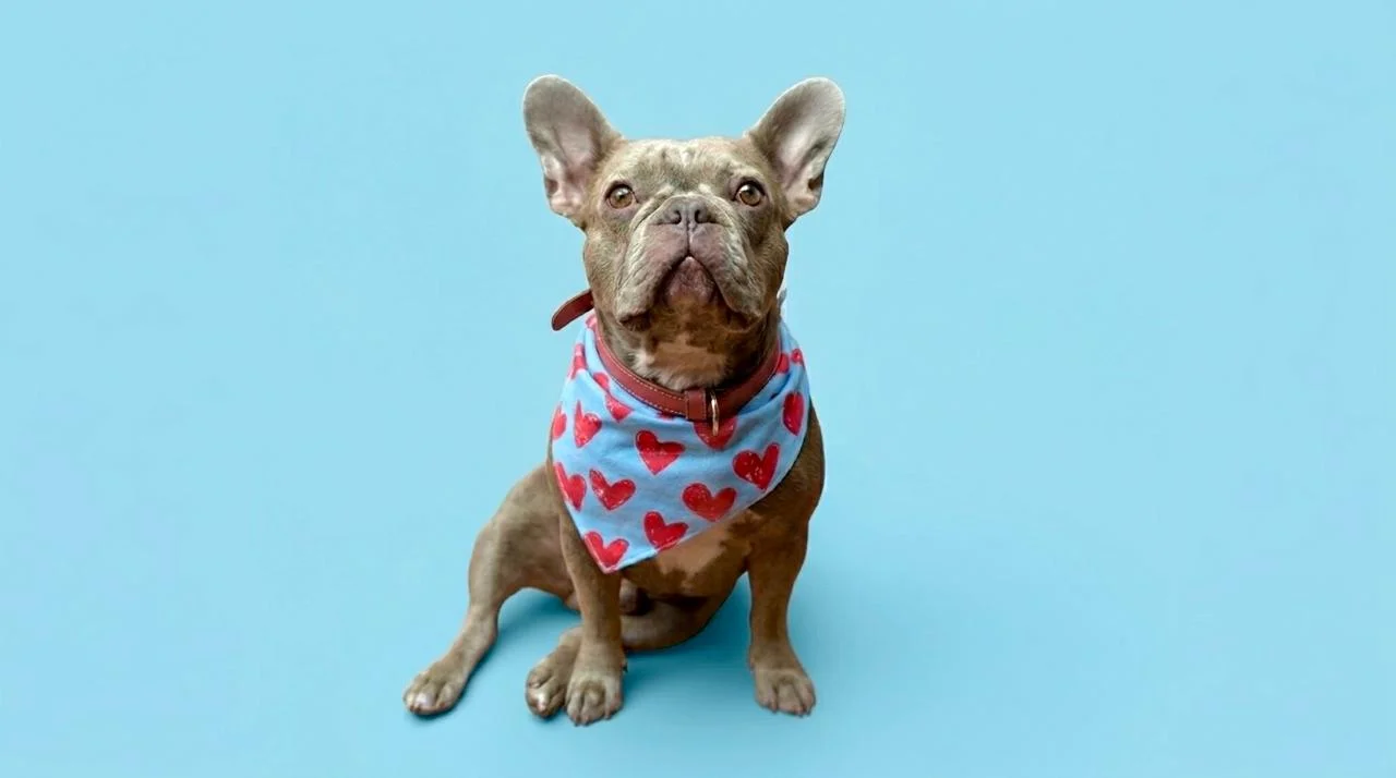 Foto de Bimba